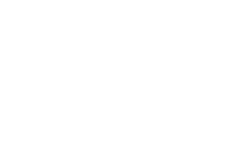 Vienna Vision
